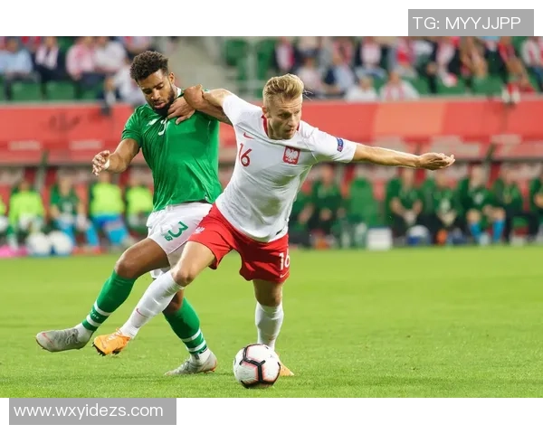 法国与爱尔兰友谊赛精彩回顾与战术分析，球迷热情高涨